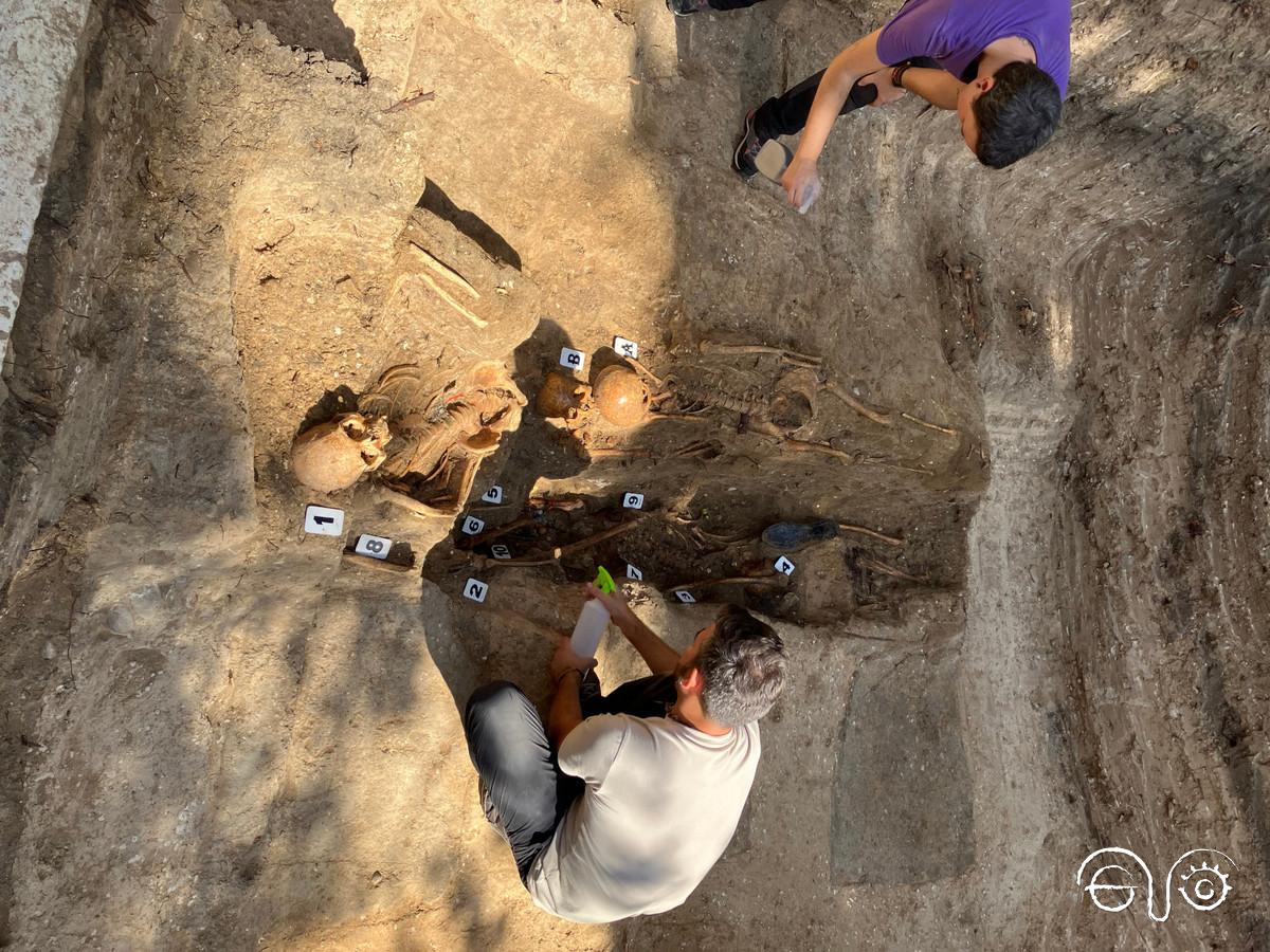 Avanza la intervención en las fosas de Villamartín con la exhumación de 30 personas represaliadas